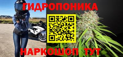 соль ск Новозыбков