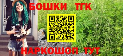 соль ск Новозыбков