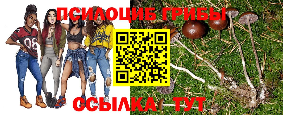 Фурманов  купить наркотики сайты  Вход с VPN  Псилоцибиновые грибы ЛСД 